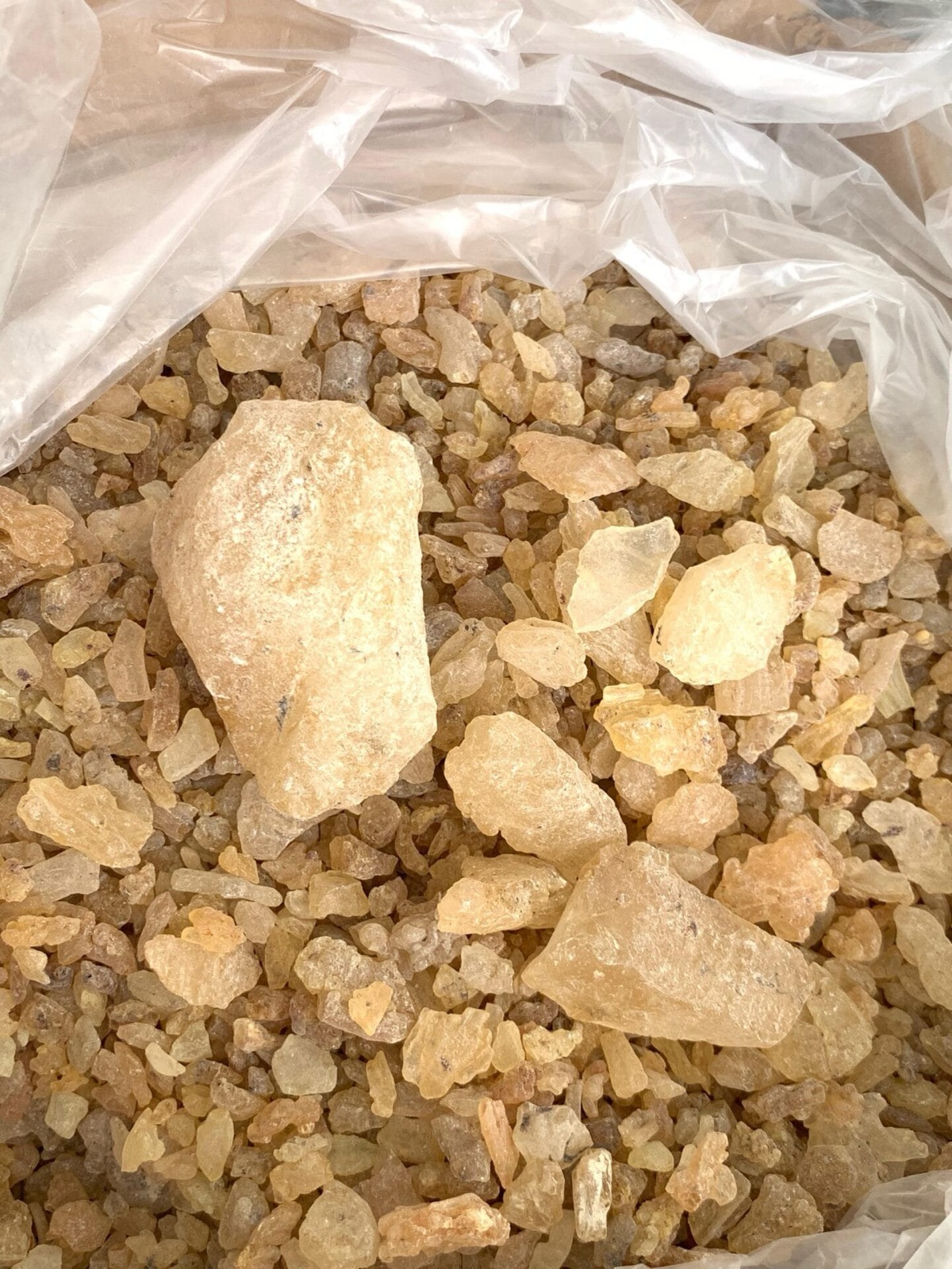 Gum copal in our warehouse