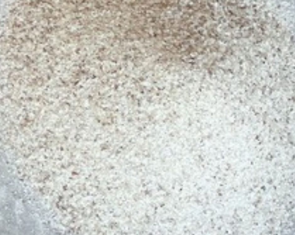 Gum copal Dust — sample