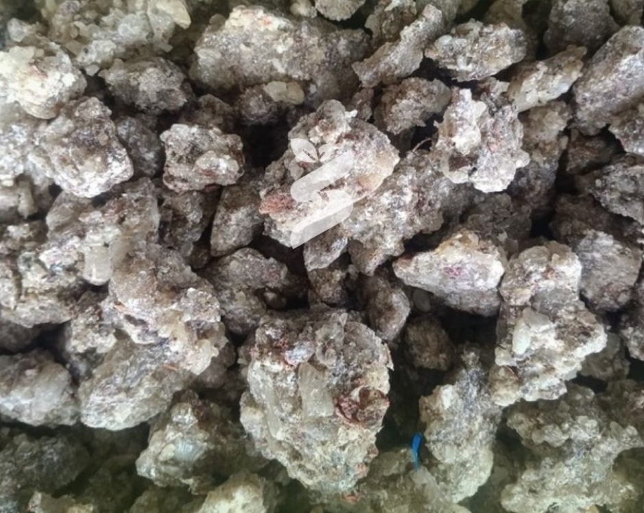 Gum copal WS — sample